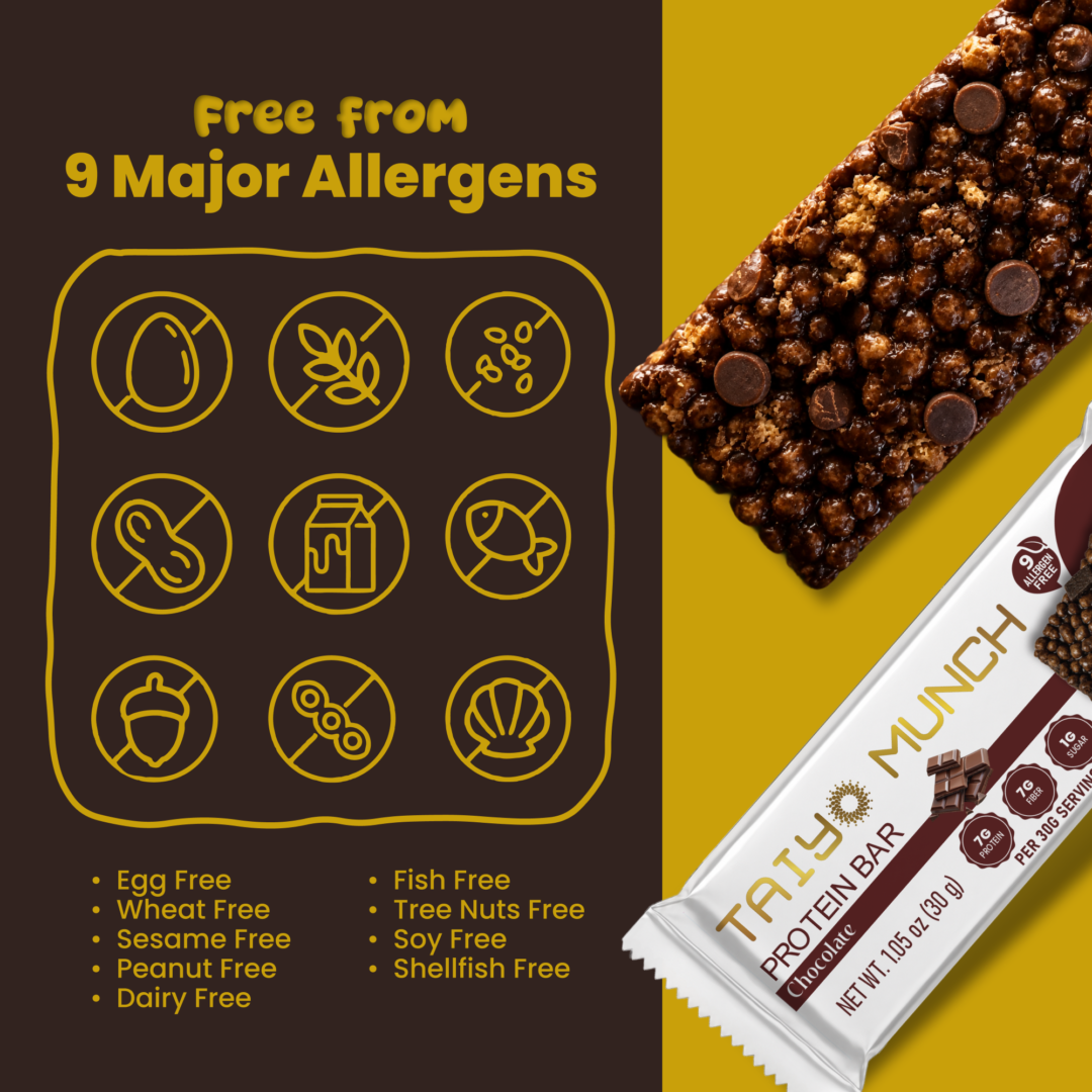 Taiyo Munch Chocolate Allergen-Free Protein Bars (12 Bars) | Gluten-Free, Vegan, Top 9 Allergen Free, Kosher